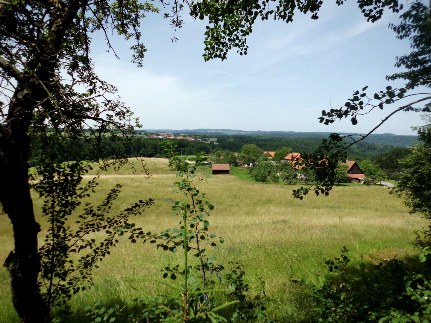 mit Bruch und den Höhen des Schwäbisch-Fränkischen Waldes im Hintergrund
