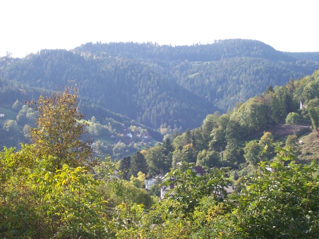 Blick in den Schwarzwald