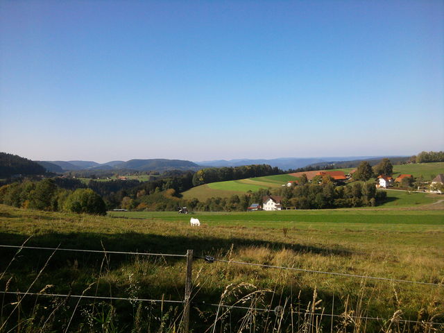 Westauffahrt aus dem Bernecktal (Altenburg): Blickrichtung Nordschwarzwald auf der Verbindungsstraße zum Hardt