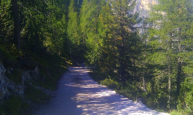 ...und der Beginn einer der steilsten Strassen der Alpen