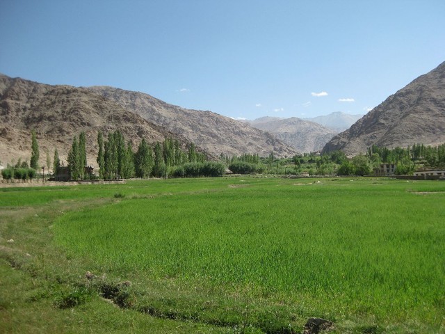 ...weiter durch das fruchtbare Indus-Tal