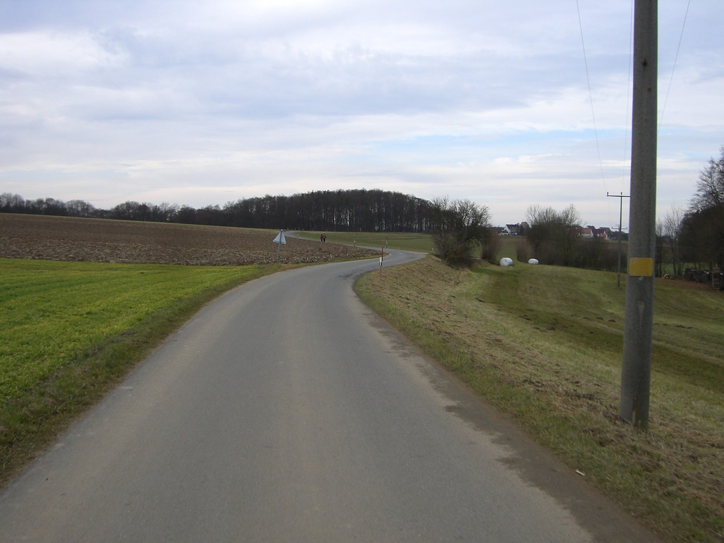 Südostanfahrt von Hohenstadt: Nach Kleinviehberg lange Gerade.
