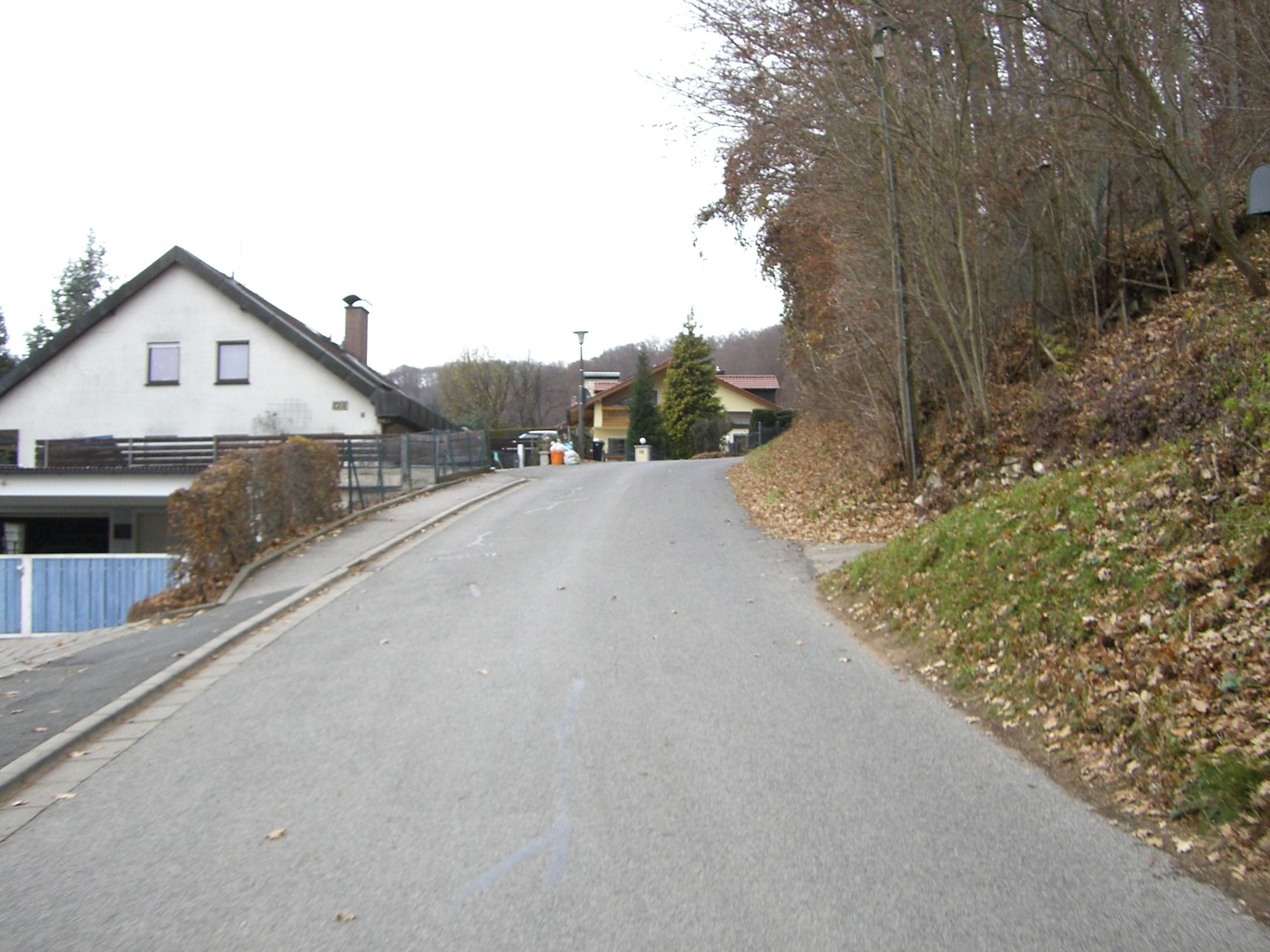Südostanfahrt von Hohenstadt: Die letzten Ausläufer von Hohenstadt.