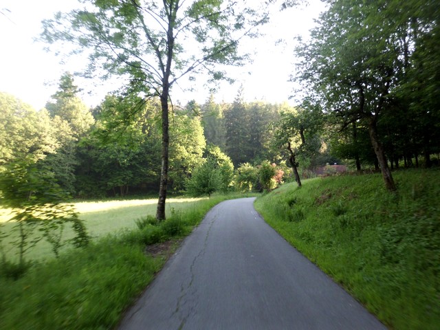 der schmale Forstweg durch das Hinterbachtal...