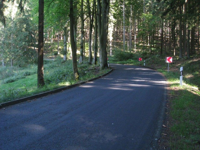 Im Wald der Westanfahrt aus Mürlenbach