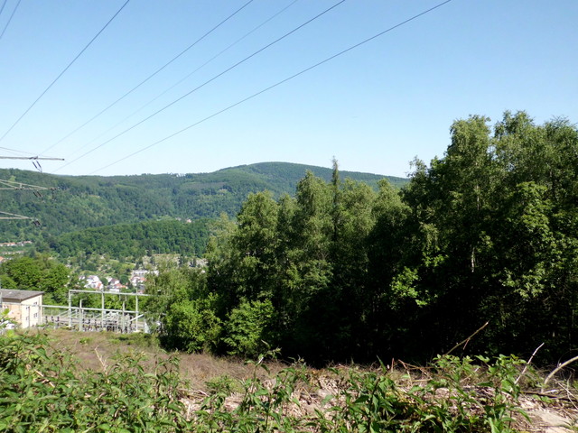 trüben leider die ansonsten hübsche Aussicht auf Eberbach im Neckartal und die umliegenden Hügel