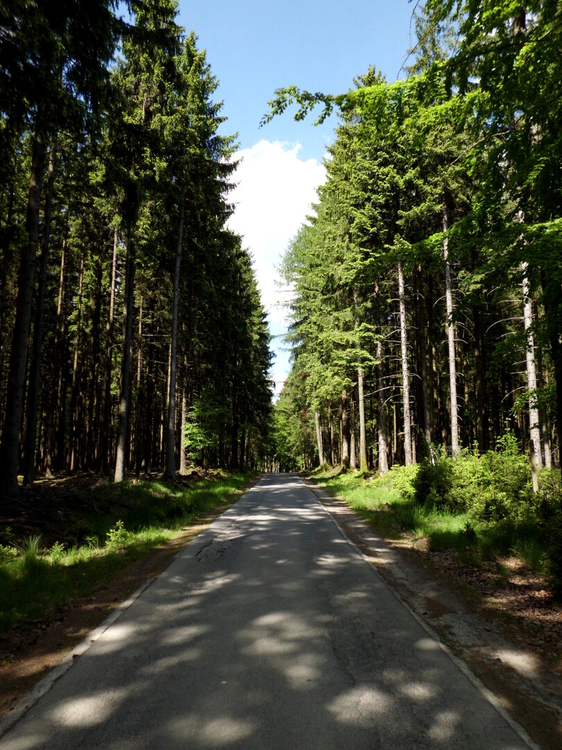 Bayerischen-Wald...