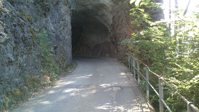 Der 10m Tunnel im Waldstück