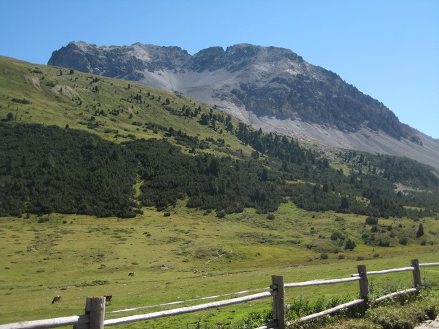 God da Tamangur, der höchstgelegene geschlossene Arvenwald der Alpen