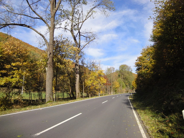 Südauffahrt hinter Schleusingerneundorf. Im Herbst kann man glatt noch ein, zwei Schönheitssterne mehr vergeben.