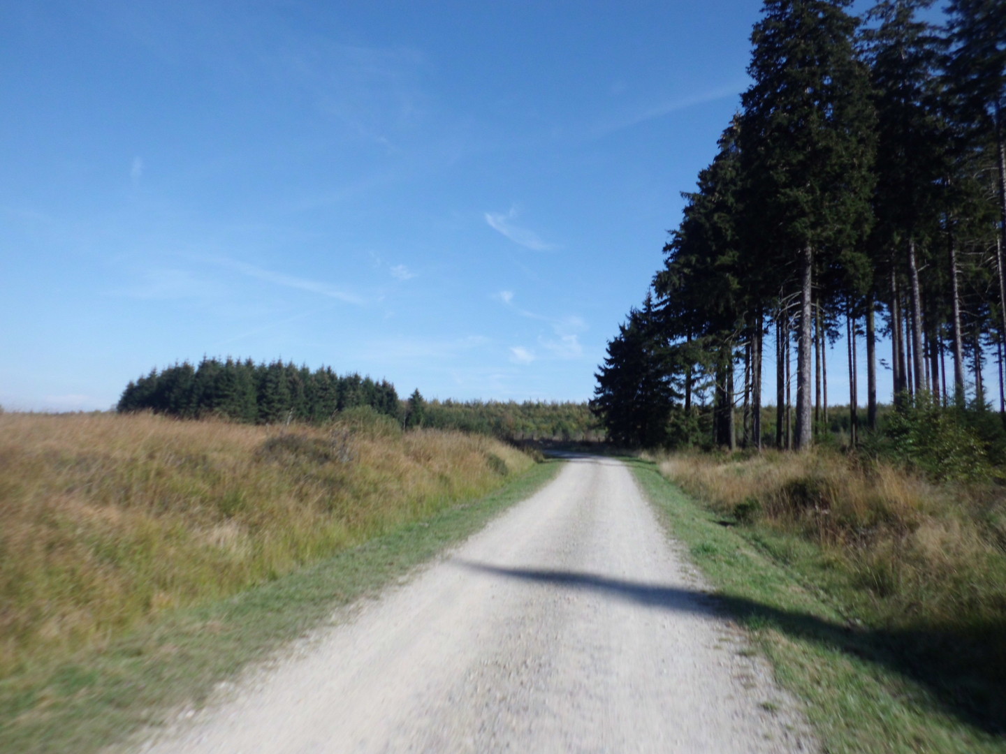 der sehr gute Schotterweg entlang der deutsch-belgischen Grenze am Rande des Brackvenns