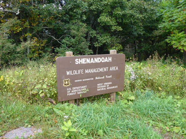 Beginn der Shenandoah Wildlife Management Area