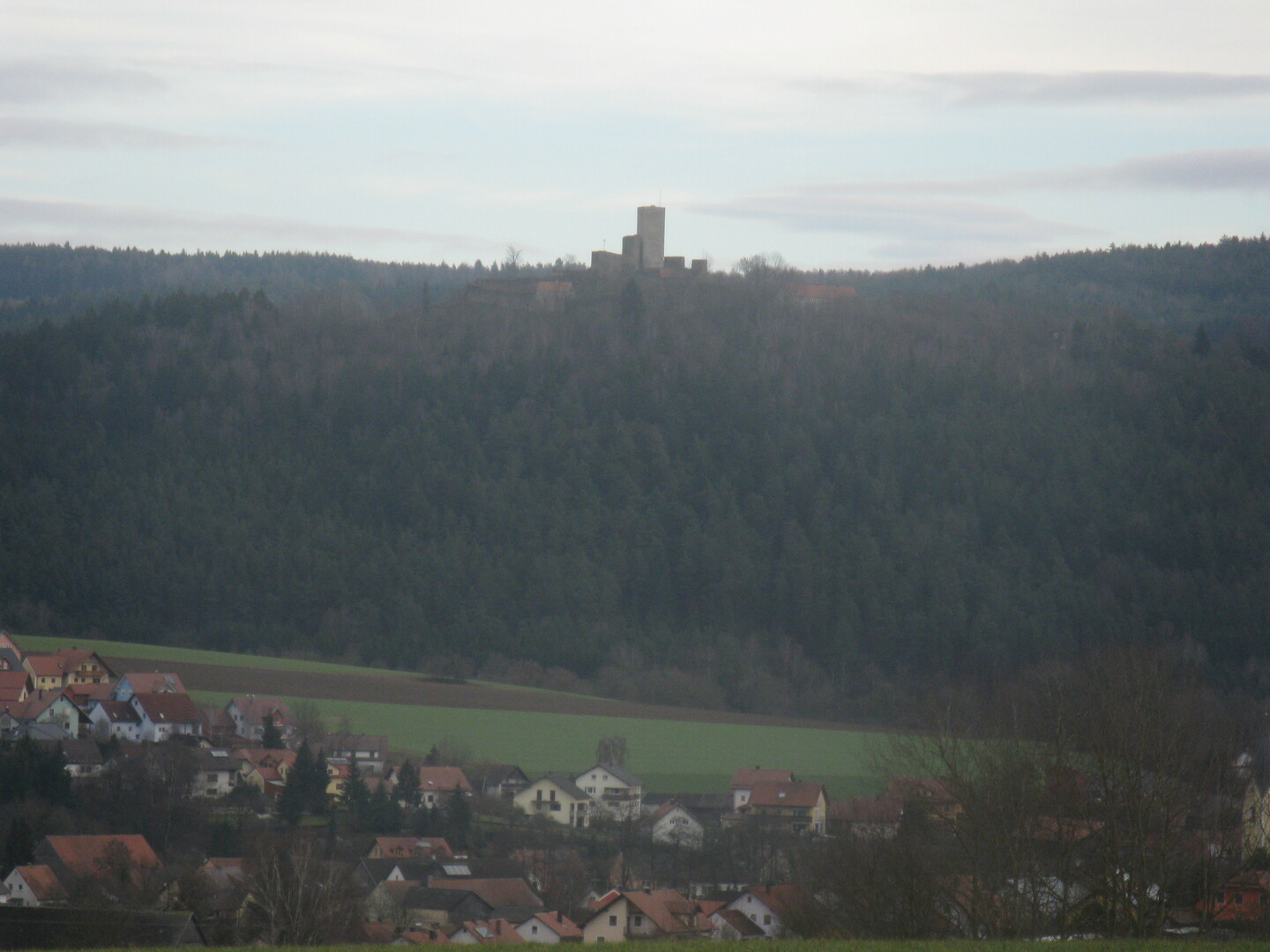 Burg Murach von der anderen Talseite, unten Niedermurach.