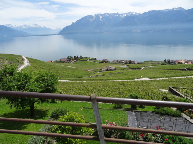 Blick auf die Vadländer Rebberge und den Genfer See