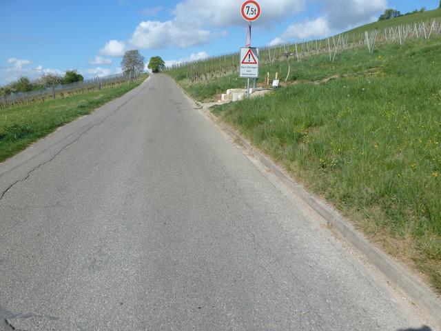 Ortsverbindungsstraße Wittnau- Ebringen