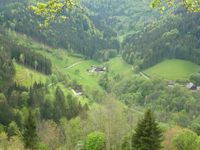 An der gegenüberliegenden Talseite das Zweibachtal
