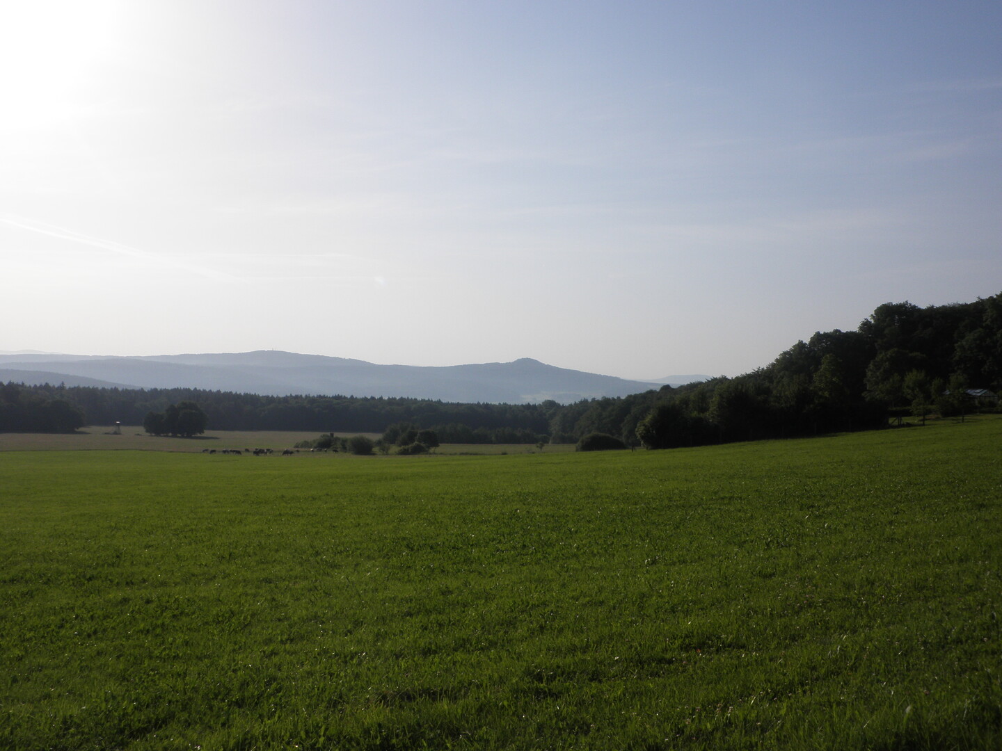 herrliche Sicht zum Thüringer Wald