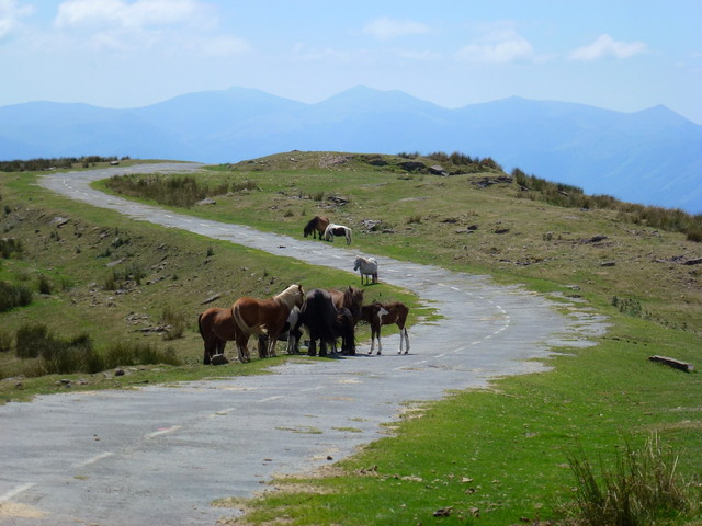 Abfahrt vom PicoGorramakil Pferde.