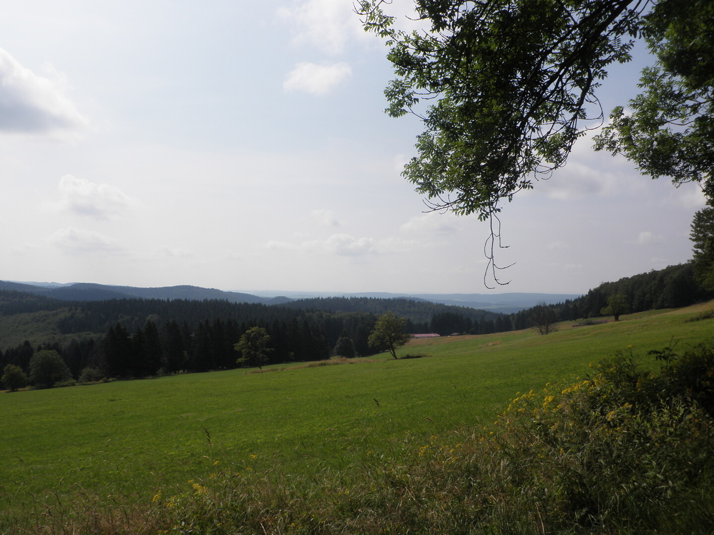 herrliche Blicke in den Thüringer Wald