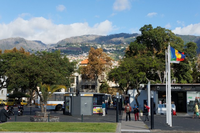 Blick von der Küstenpromenade in Funchal hinauf nach Monte (Links des rechten Baumes ist die Kirche gut zu erkennen).