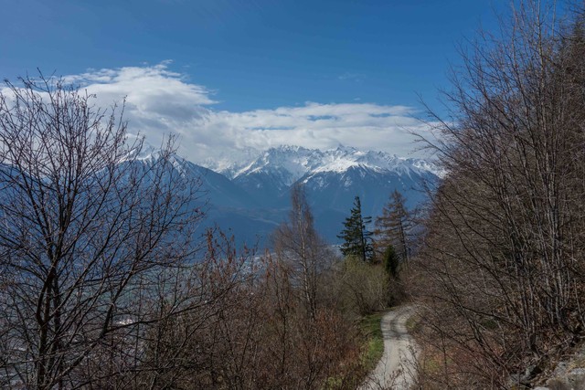 Die Berge im Hintergrund gehören zum Massiv des Mont Blanc