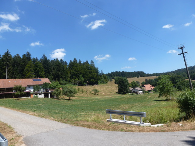 Fetzenbach City