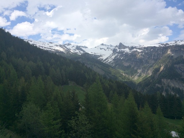 Bewaldetes Gebiet - 27.5.2016