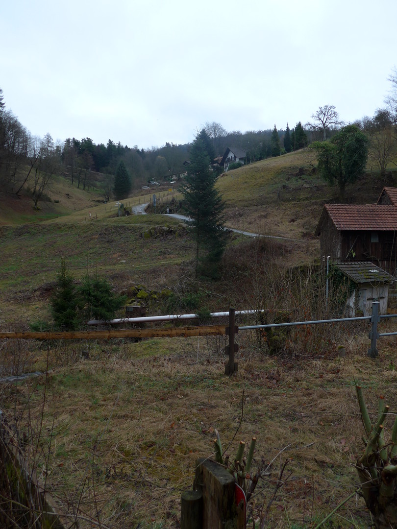Rückblick auf die kurze, steile Abfahrt von Zieflensberg zur Plotzsägemühle