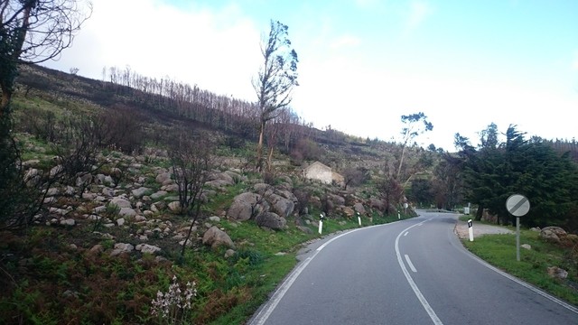 Sierra de Monchique
