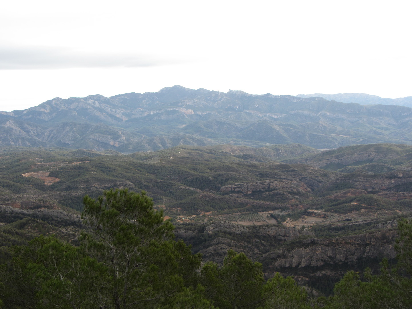 Blick von der Paßhöhe auf die Serra de Cardó.