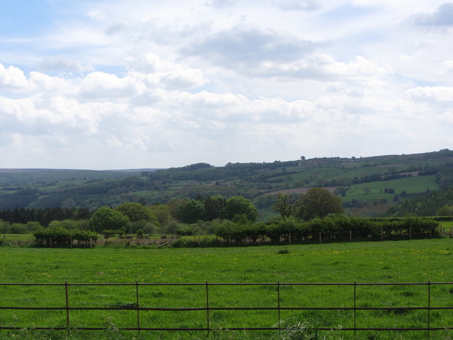 Limber Hill: Blick nach Südosten.