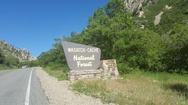 Wasatch-Cache National Forest.