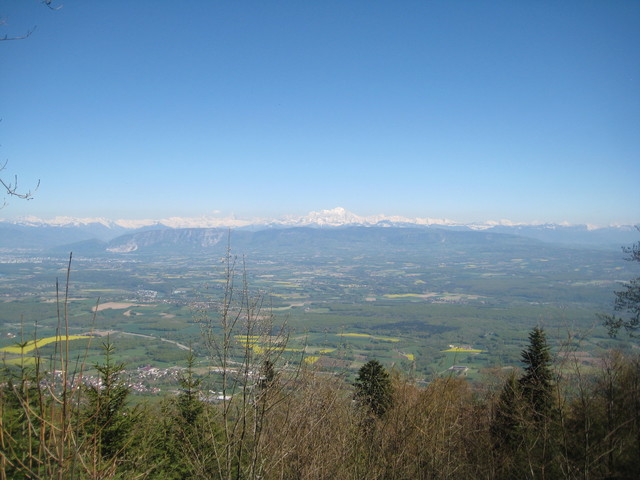 Saleve und Alpen.