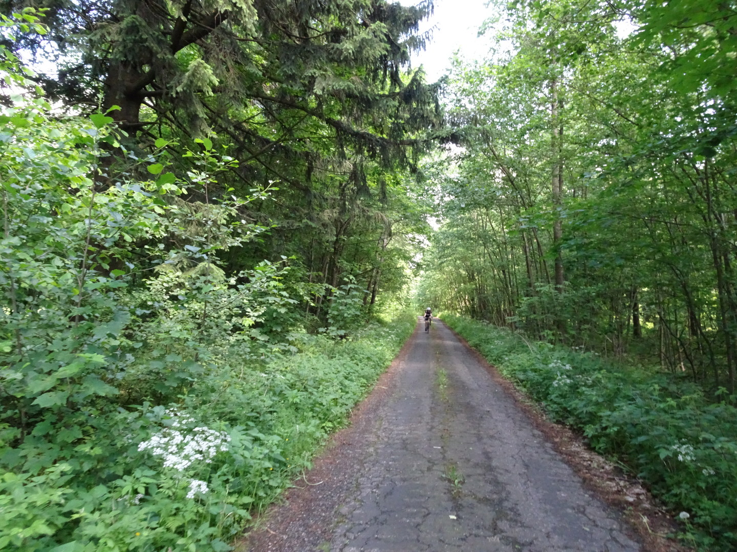 Der Weg von Erbenhausen ist nach Überquerung der B285 nicht in perfektem Zustand, aber dafür besonders ruhig.