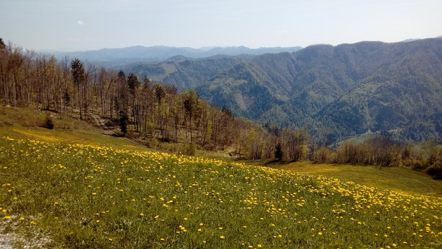 Blick Richtung Süden, Trnovski Gozd.