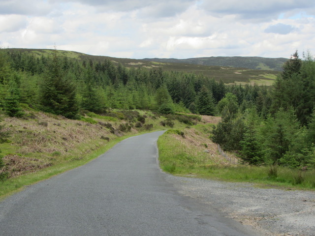 Nordseite: Oben die üblichen Nadelforste der irischen Berge.