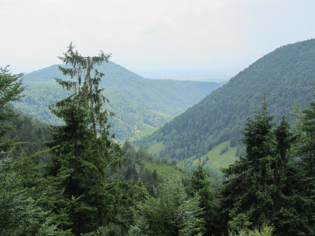 Blick ins Hochtal von Kriv&#269;evo von der Scheitelstrecke im Wald.