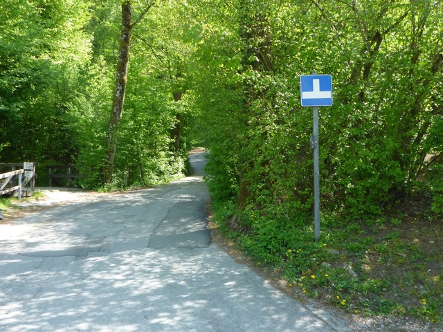 Start auf der Gäsbrunnstraße in Aigen