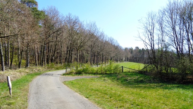 Abschnitt Wald und Wiesen.