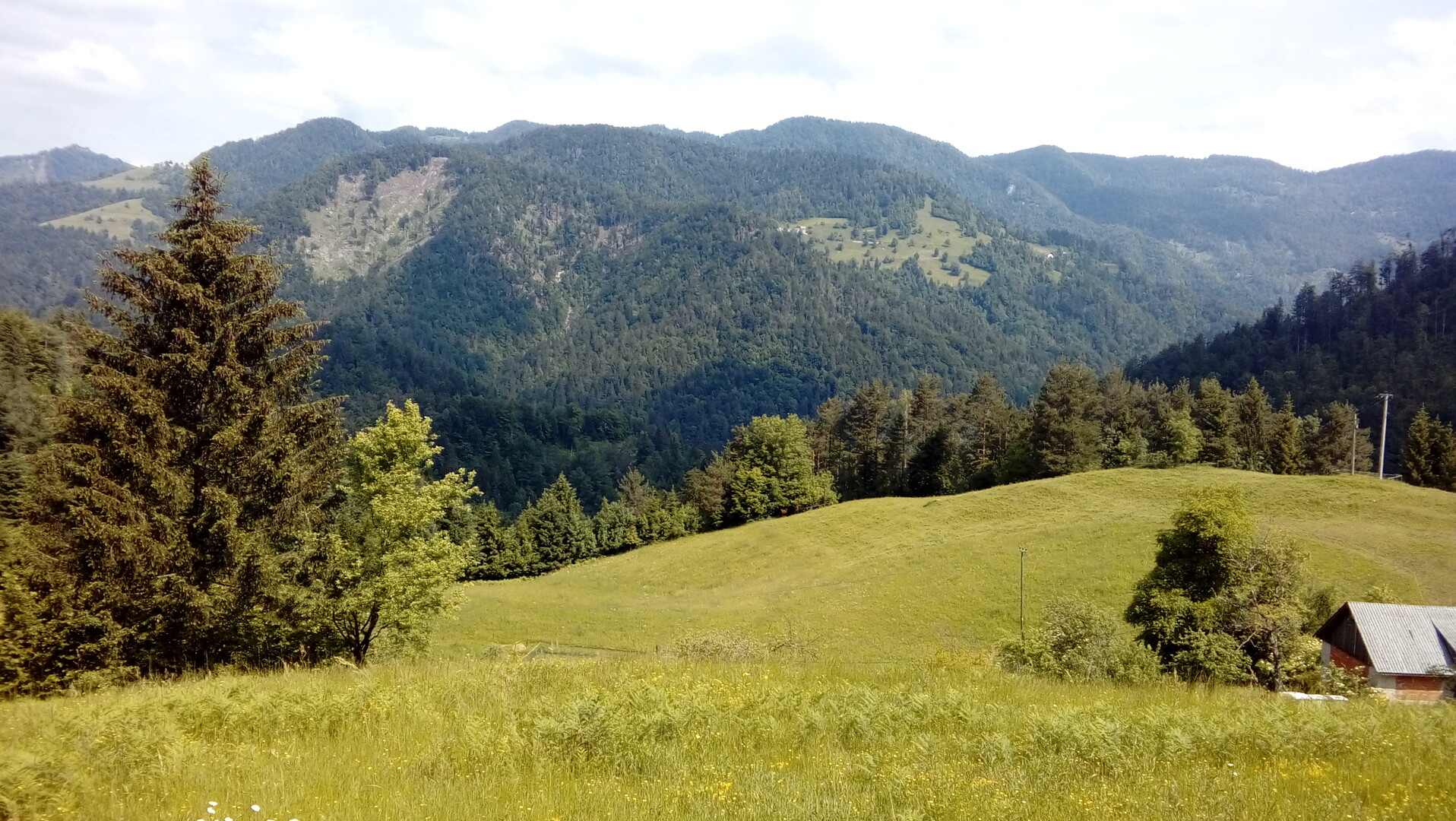 Blick ins Kanomljica-Tal und zur gegenueberligenden Bergflanke.