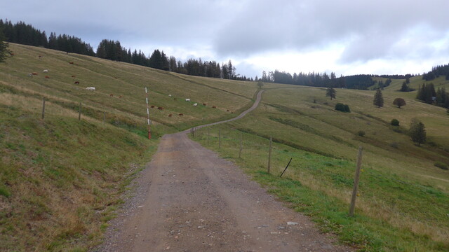 Der Weiterweg in Richtung Stollenbacher Hütte