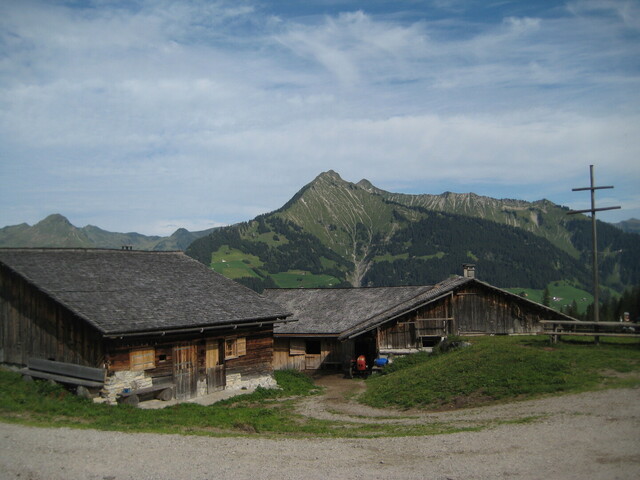 Steris-Alpe