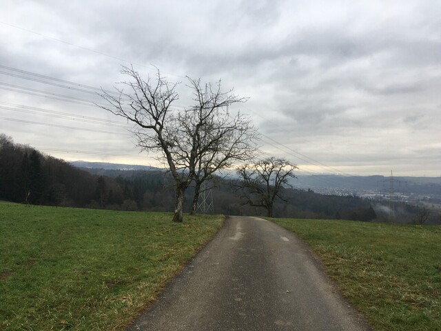 Oberer Teil der Ostvariante und Blick in den Schwarzwald.
