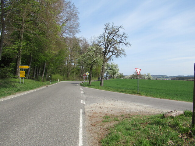 Passhöhe gen Waldburger Rücken, von rechts mündet K 7976 ein