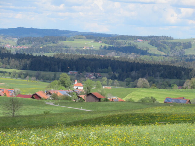 Heimhofen, hinten Rampe zur Schweineburg