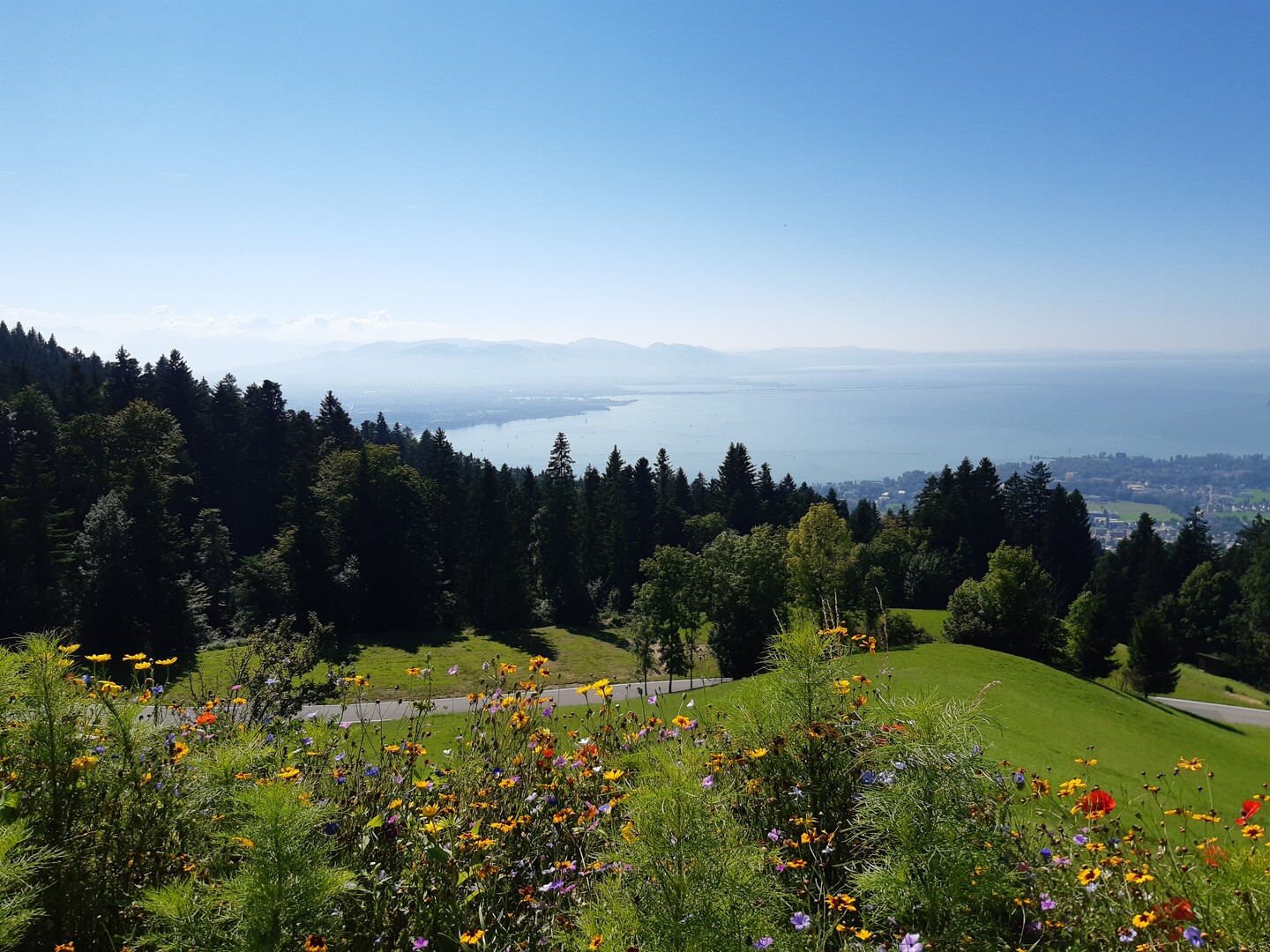 Blick von Eichenberg zur Schweiz
