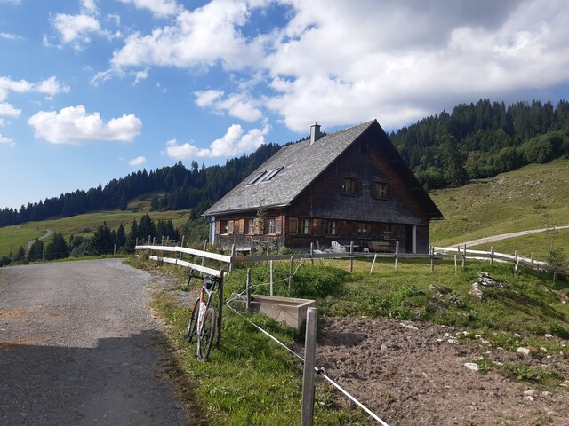 Lustenauer Ries-Alpe