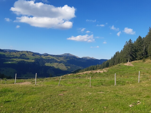 Blick von der Hochries-Alpe Richtung Balderschwanger Berge