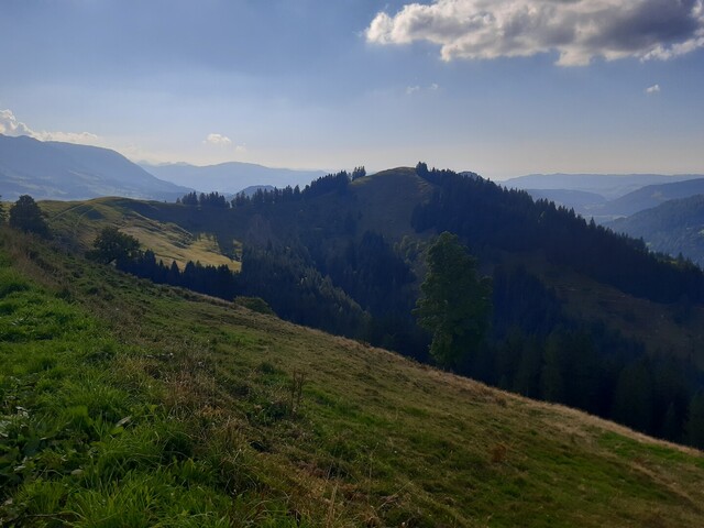 Blick von der Hochries-Alpe Richtung Renkknie