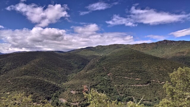 Blick beim Südwestanstieg auf die Auffahrt zur Serrabona